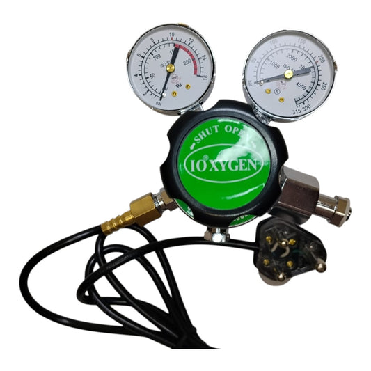 Heated CO₂ Regulator (10 Bar, 220V)