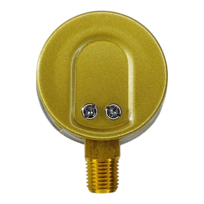 Oxygen Porta Pack Outlet Gauge
